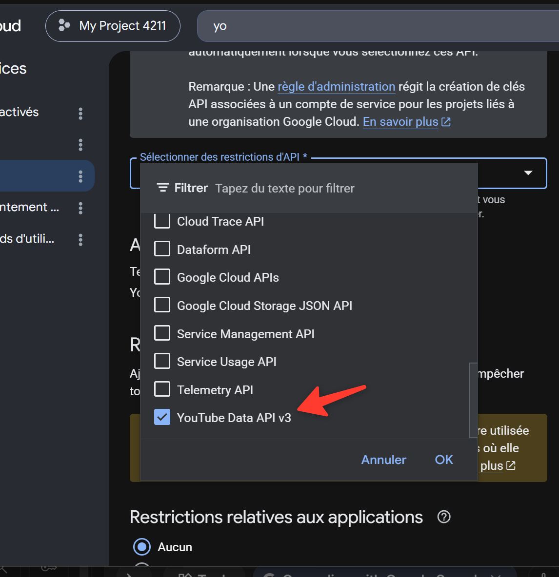 YouTube Data API v3 key restriction