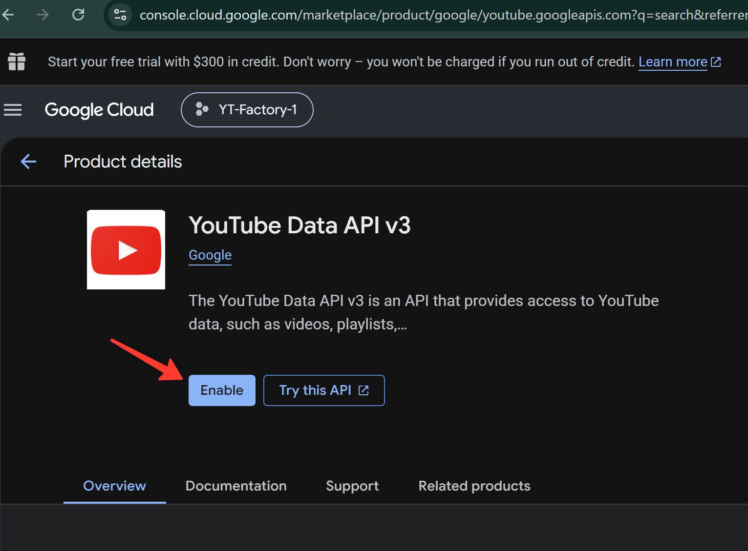 YouTube Data API v3 enabled